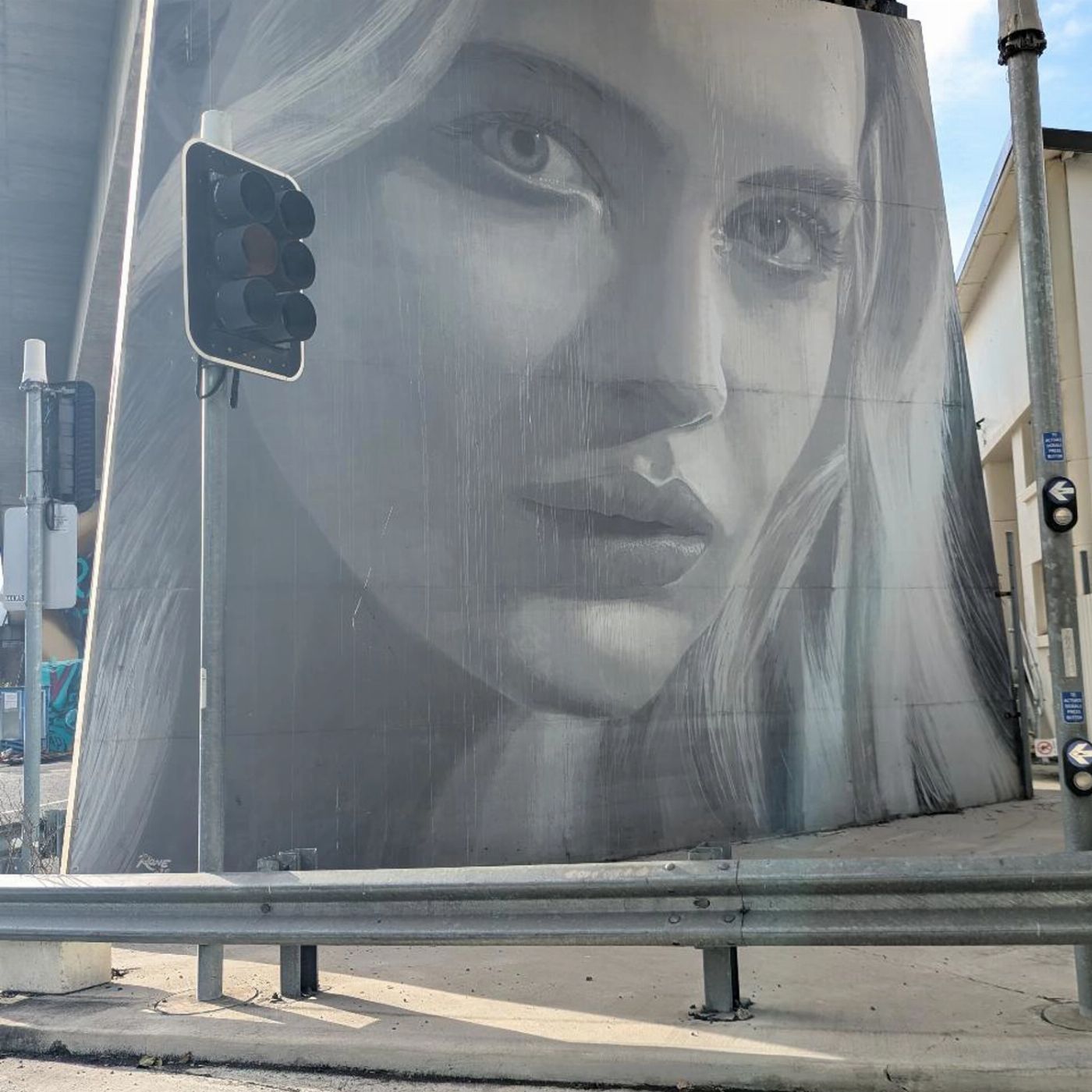 Brisbane Walking CO Brisbane's Public and Street Art Walking Tour