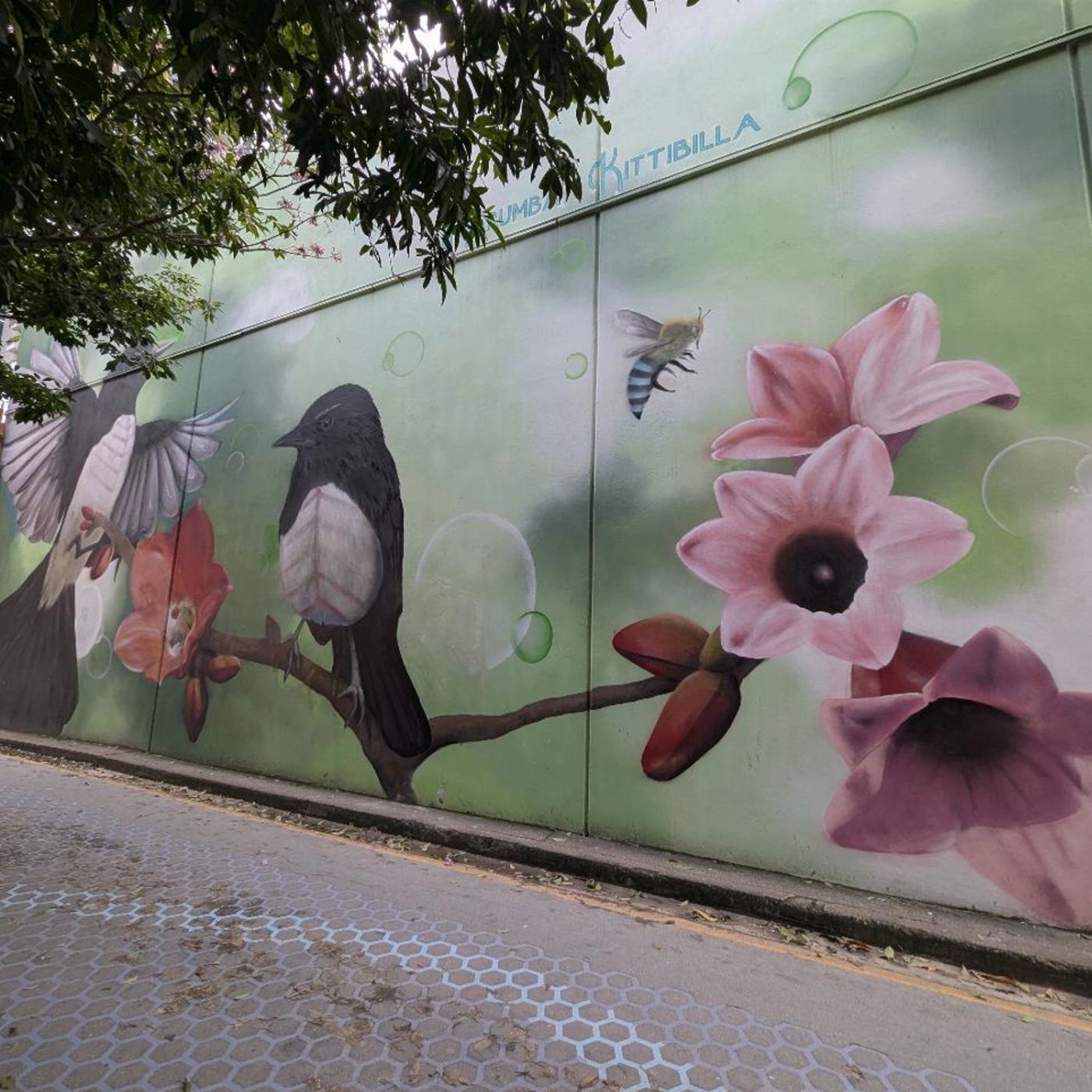 Brisbane Walking CO Brisbane's Public and Street Art Walking Tour