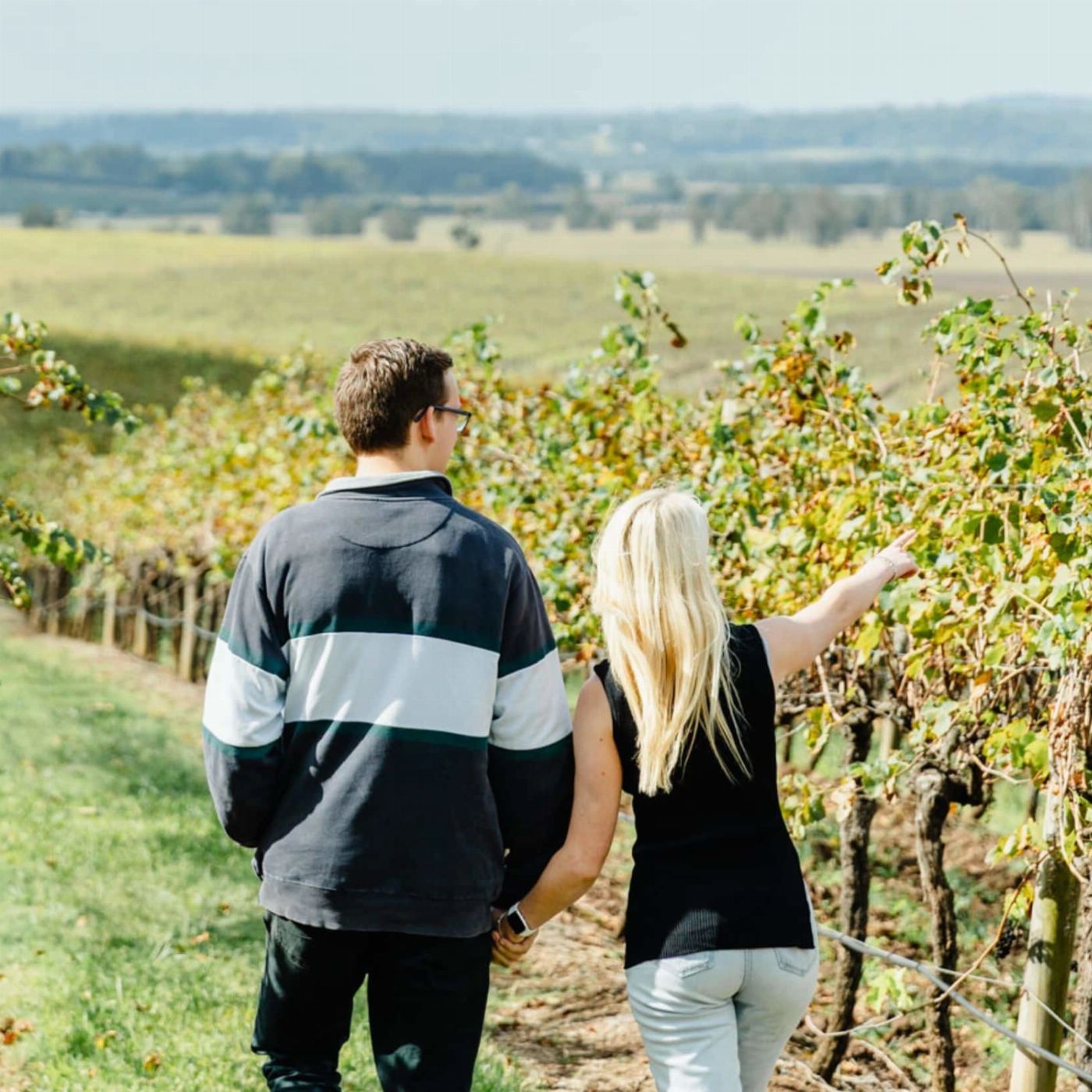 Newy Tour Co Boutique Hunter Valley Wine Tour with Local Hunter Valley Pickup