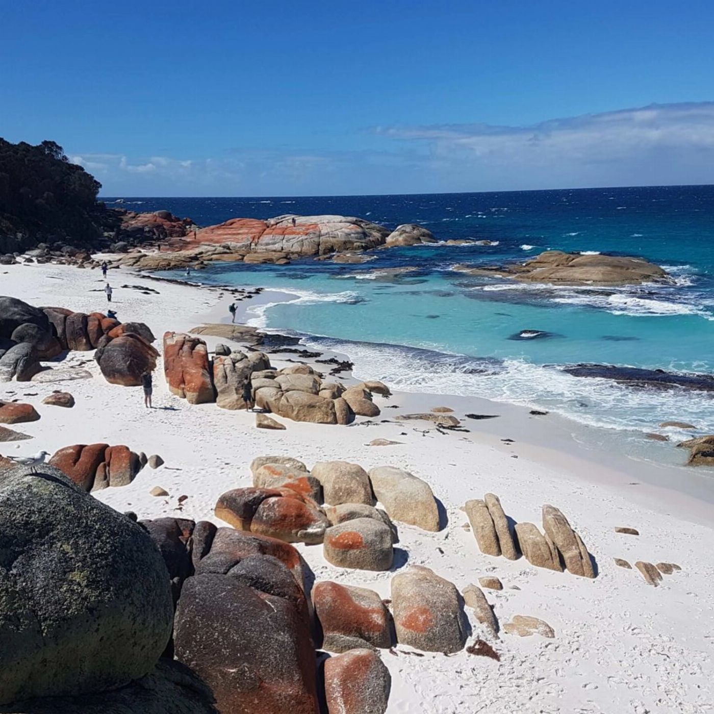 Wild Tasmania Tours 4 Day Wild Tasmania Tour Private room with shared bathroom – Double