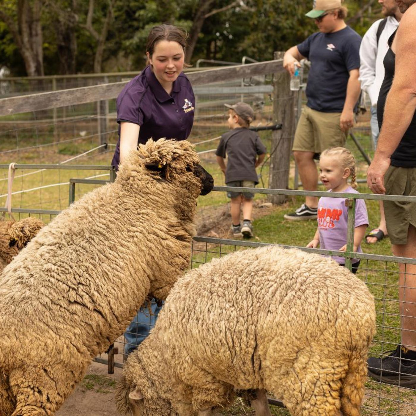 Trevena Glen Farm 1hr Animal Experience (General Public)