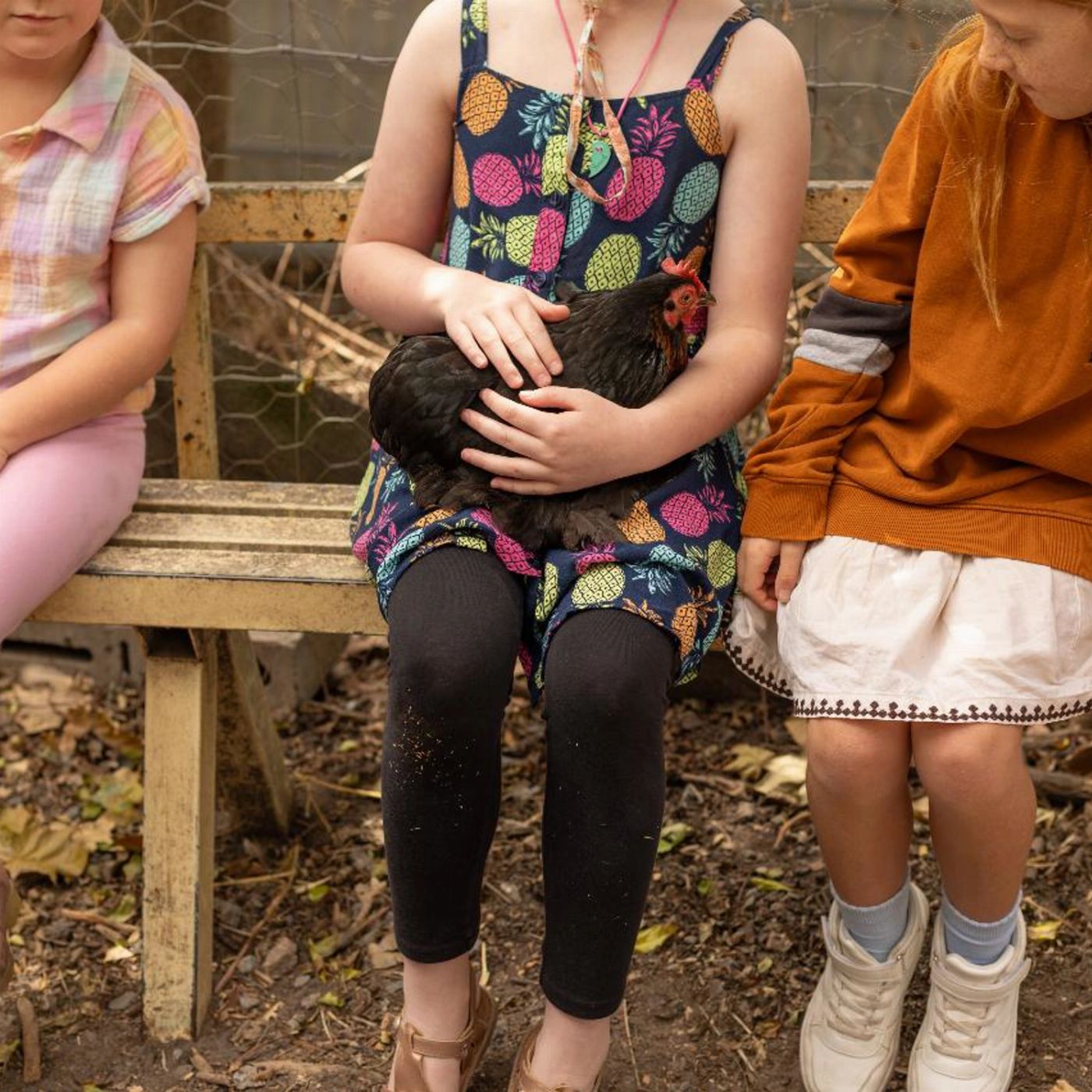 Trevena Glen Farm 1hr Animal Experience (General Public)