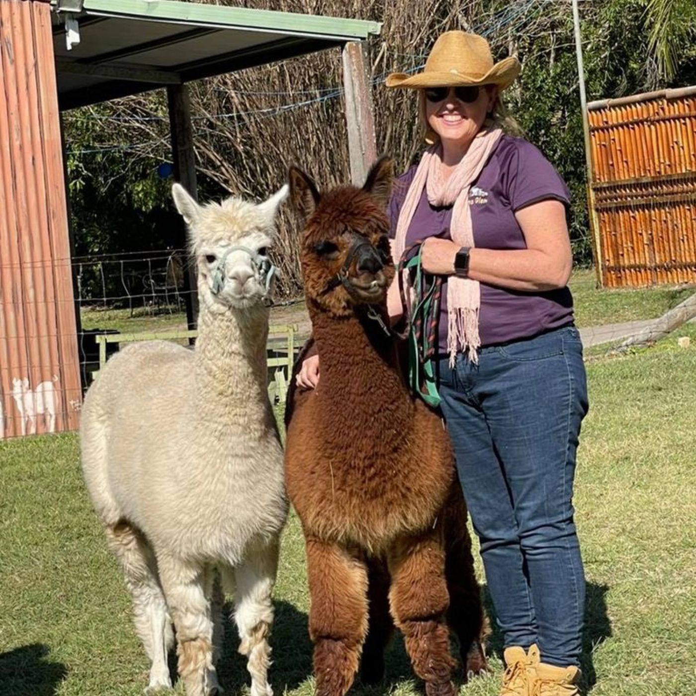 Trevena Glen Farm 2hr Premium Animal Tour