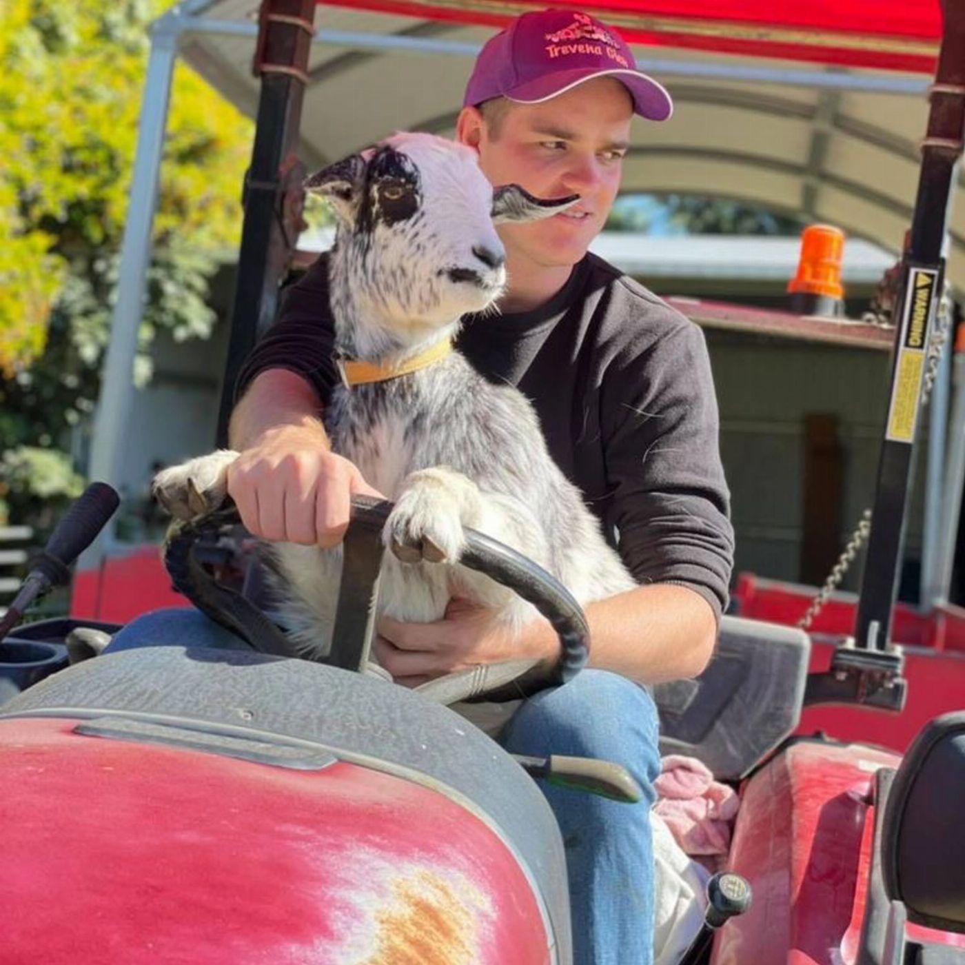 Trevena Glen Farm 2hr Premium Animal Tour