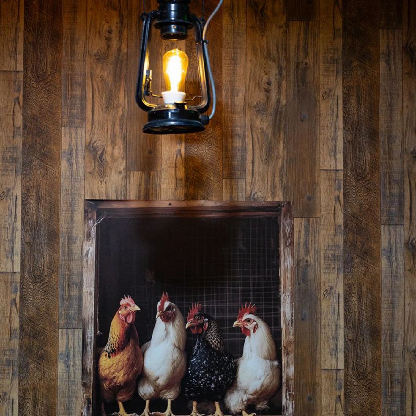 Trevena Glen Farm Escape Room and Premium 1hr Animal Tour