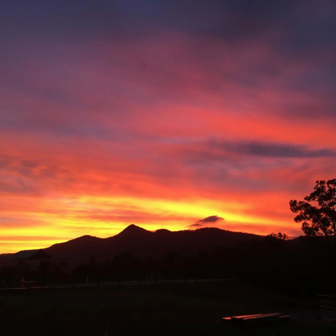 Trevena Glen Farm 4hr Farm Frolic, Wine & Dine