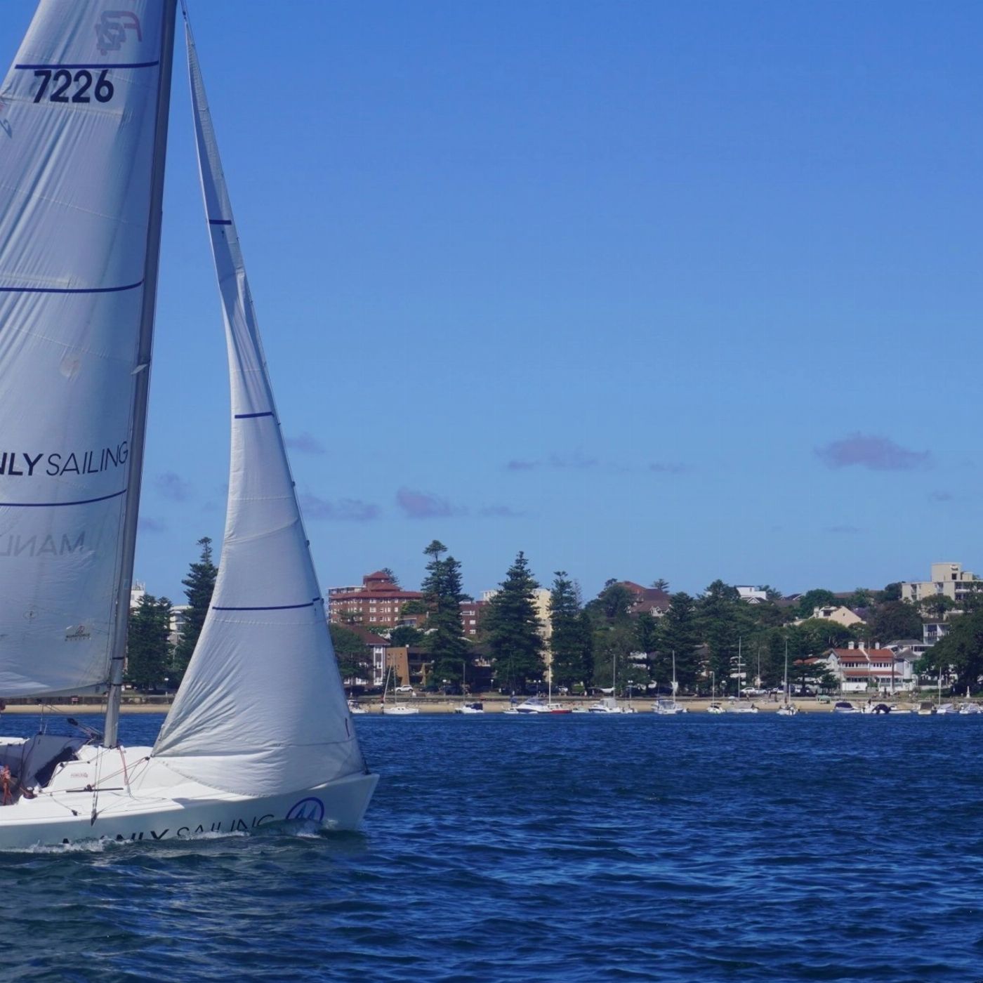 Manly Sailing Sailing Experience (2.5 hrs 24ft yacht)
