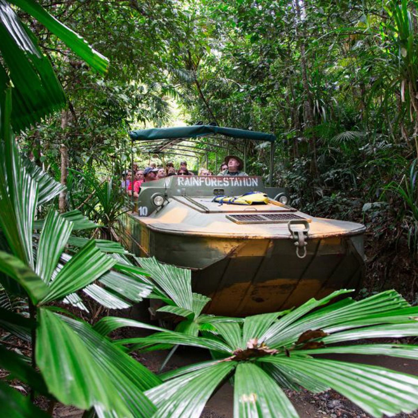Tropic Wings Kuranda Rainforestation with Skyrail Rainforest Cableway (Family 2A/2C Per Person Rate) - ENS