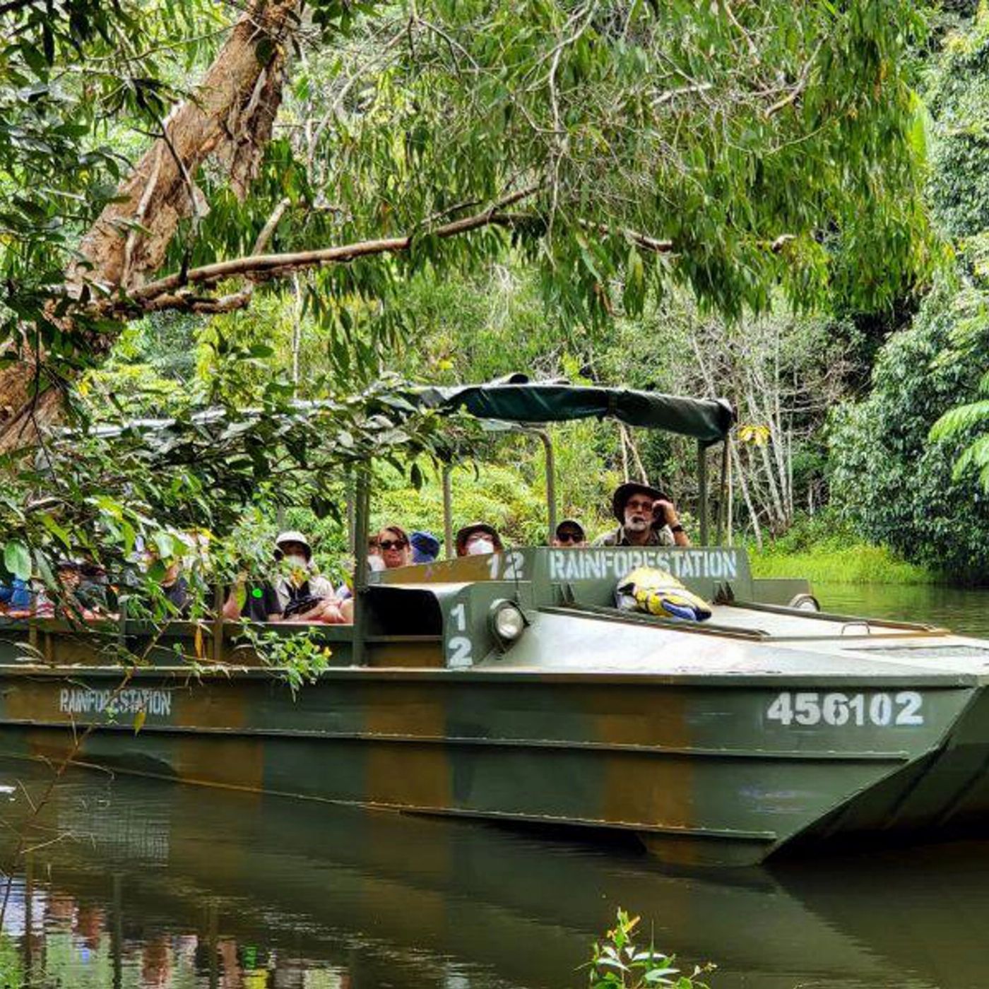 Tropic Wings Kuranda Deluxe with Skyrail Rainforest Cableway (Family 2A/2C Per Person Rate) - ENLS