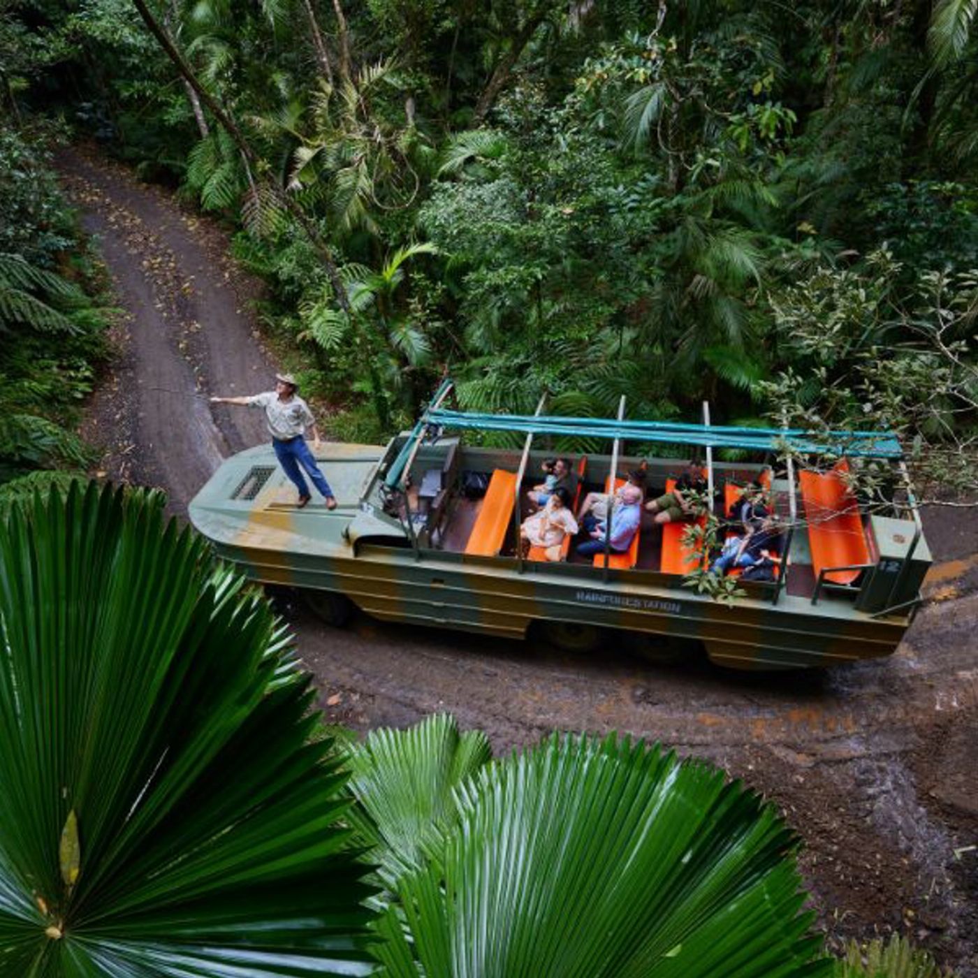 Tropic Wings Kuranda Deluxe with Skyrail Rainforest Cableway (Family 2A/2C Per Person Rate) - ENLS