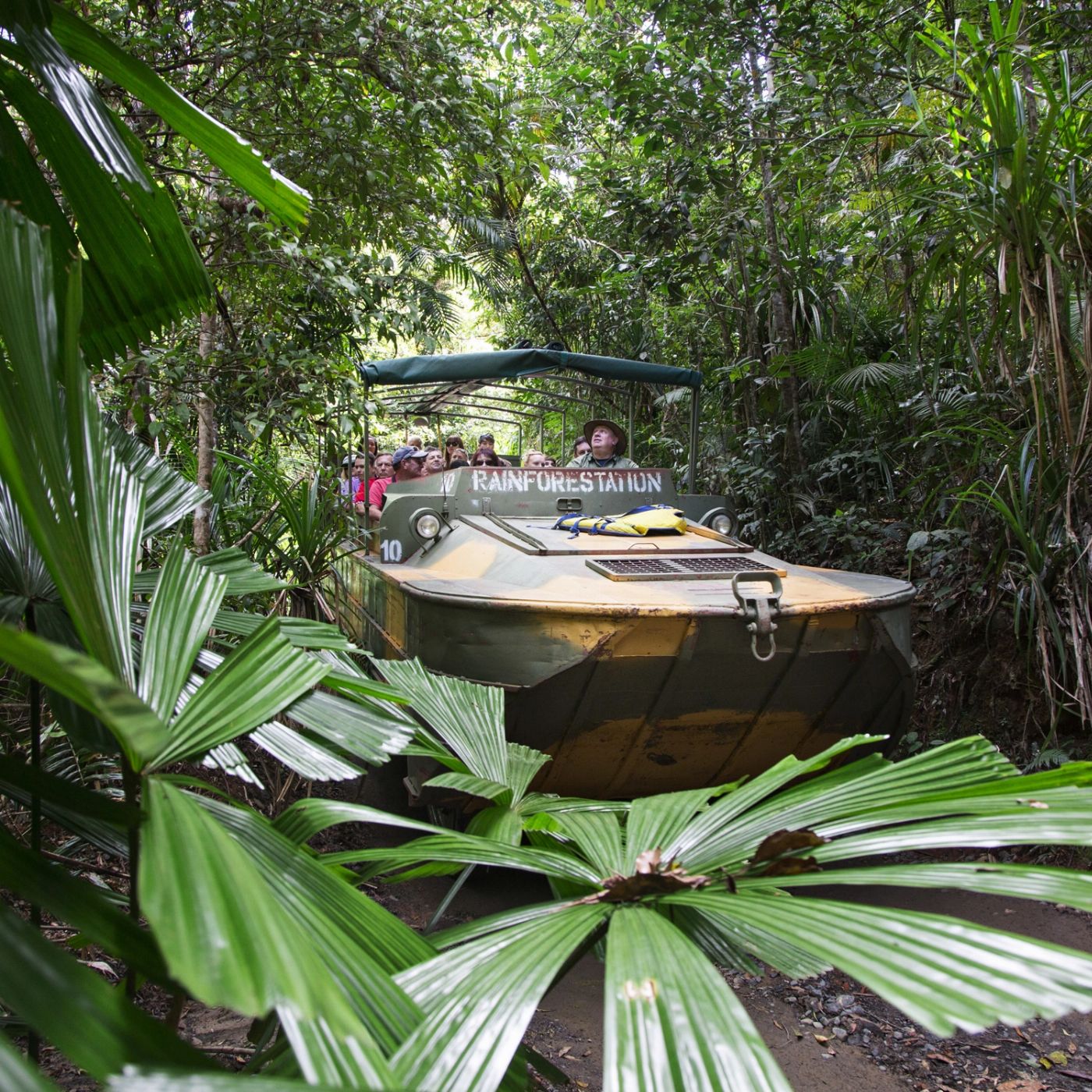 Tropic Wings Kuranda Rainforestation with Kuranda Scenic Rail (Family 2A/2C Per Person Rate) - ENT