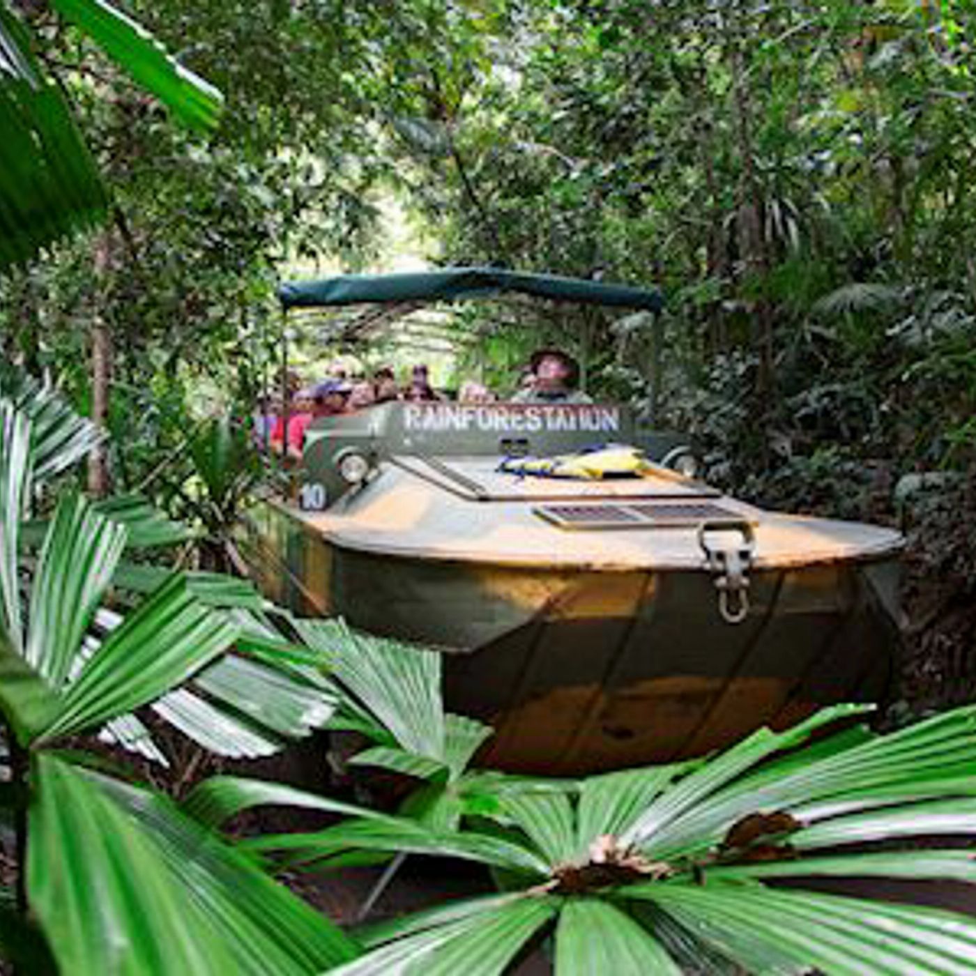 Tropic Wings Kuranda Deluxe with Kuranda Scenic Railway and Australian Butterfly Sanctuary with Port Douglas transfers (PEALT Tour) (Family 2A/2C Per Person Rate)