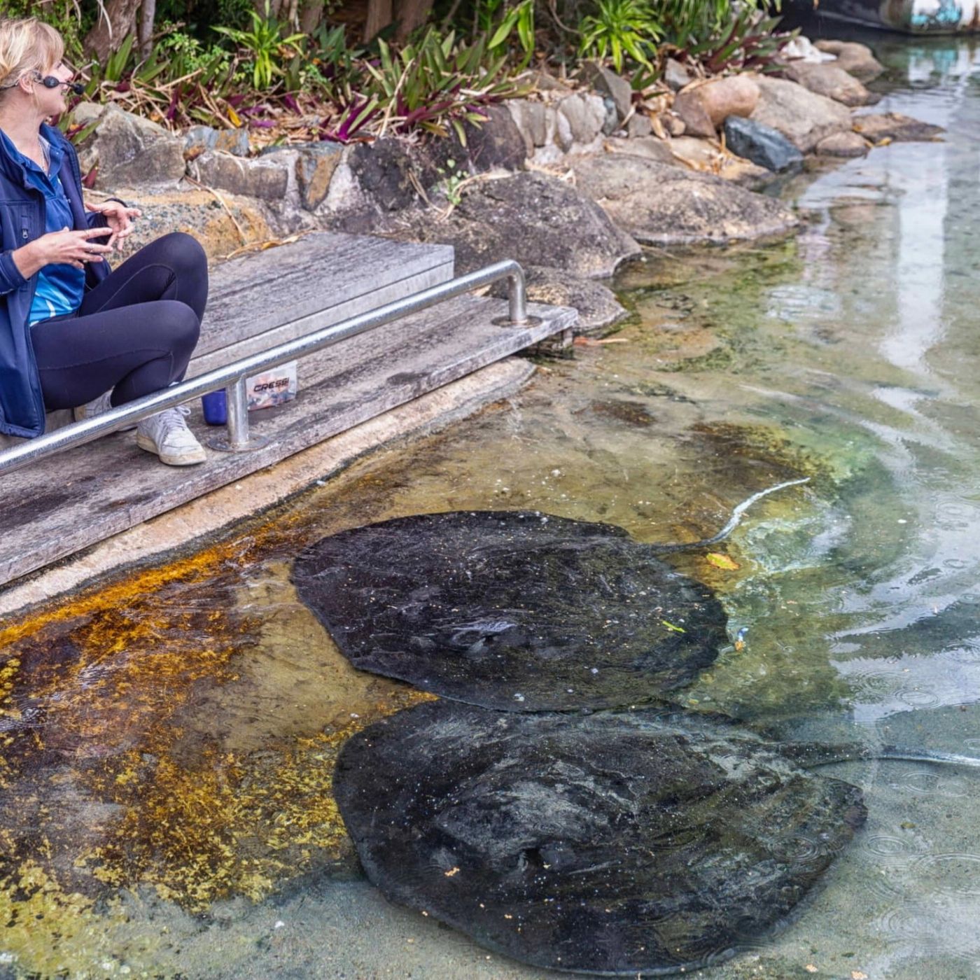Iconic Whitsunday Adventures Lady Enid Sailing - Daydream Island Reef Experience