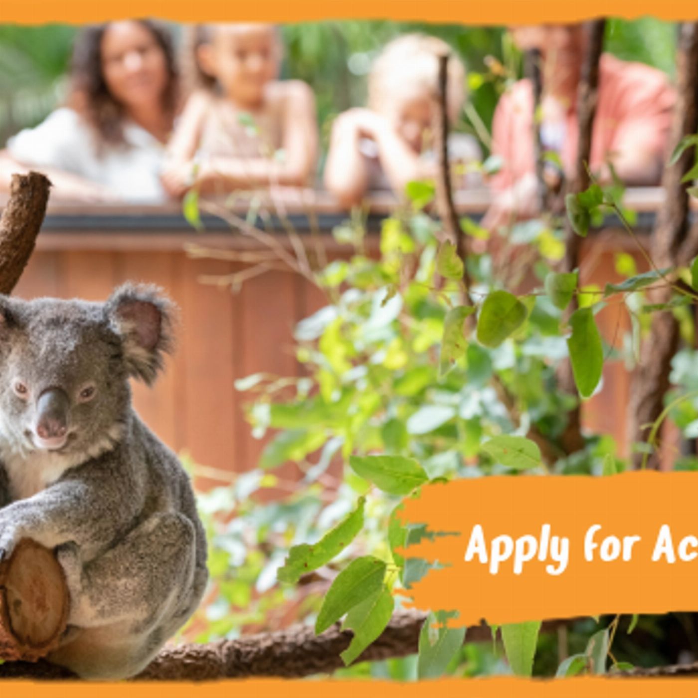 Australia Zoo Apply for access