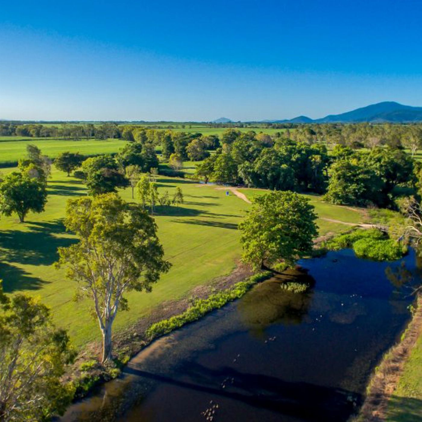 Whitsunday Golf Tours Proserpine Golf Club Tour