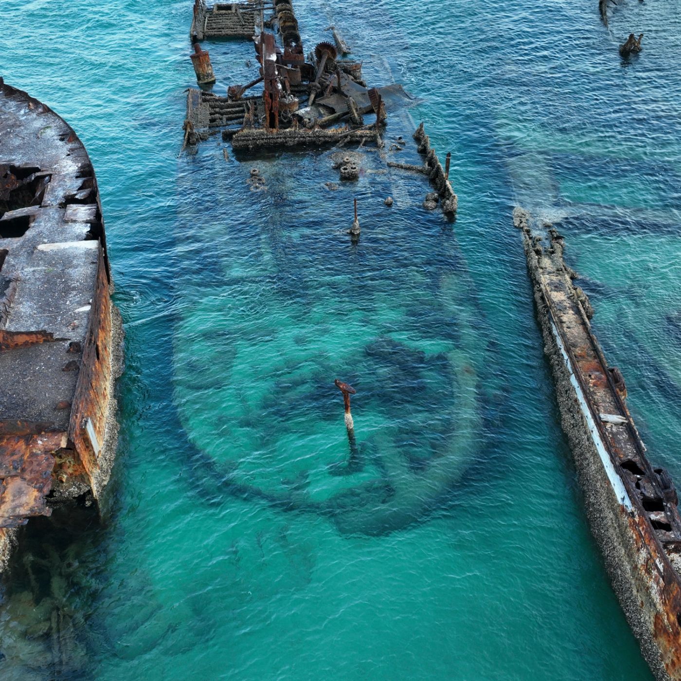 Tangalooma Island Resort Wrecked & Wild: Dolphins & Snorkel with Return Bus Transfers from Gold Coast