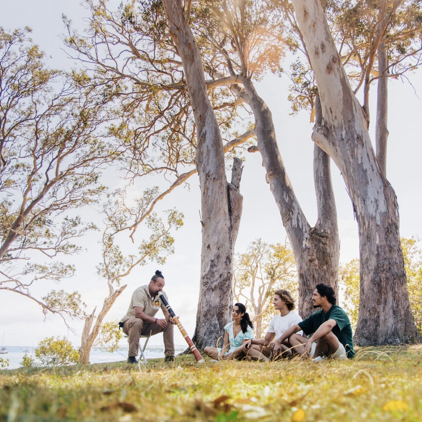 Stradbroke Island Tours North Stradbroke Island Aboriginal Culture & Wildlife Day Tour from Brisbane