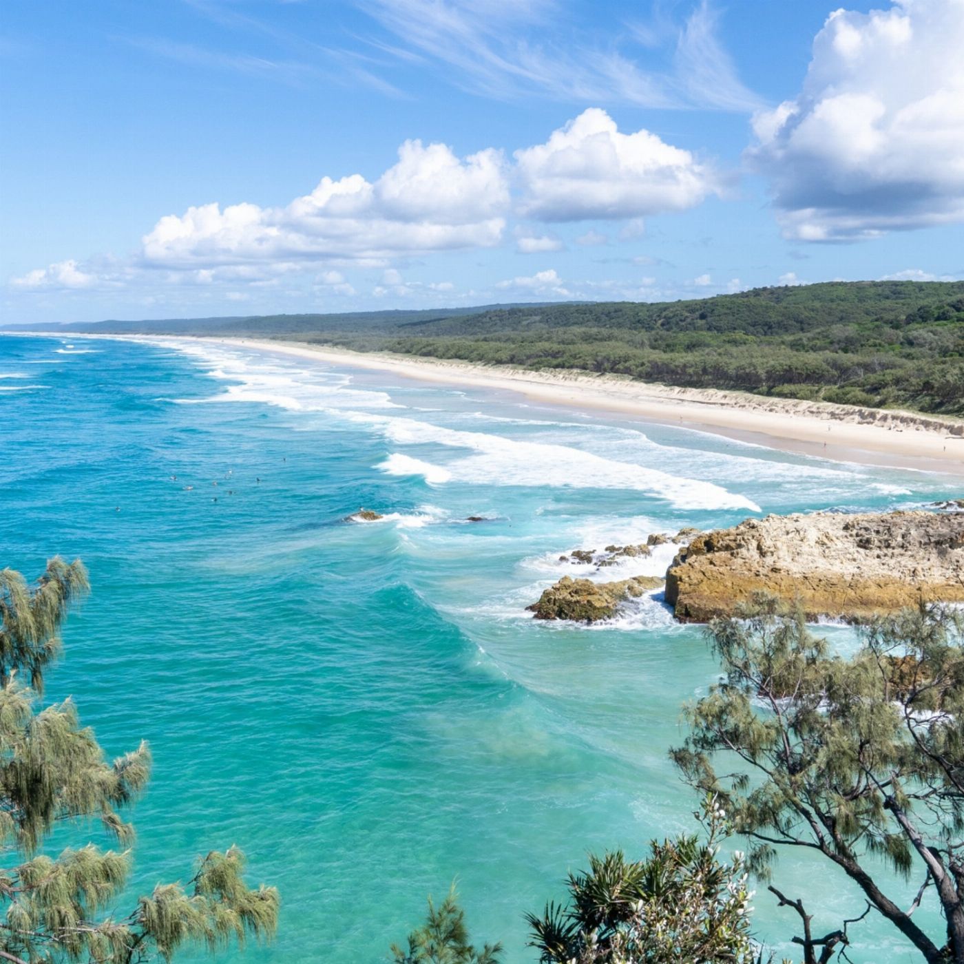 Stradbroke Island Tours North Stradbroke Island Aboriginal Culture & Wildlife Day Tour from Brisbane