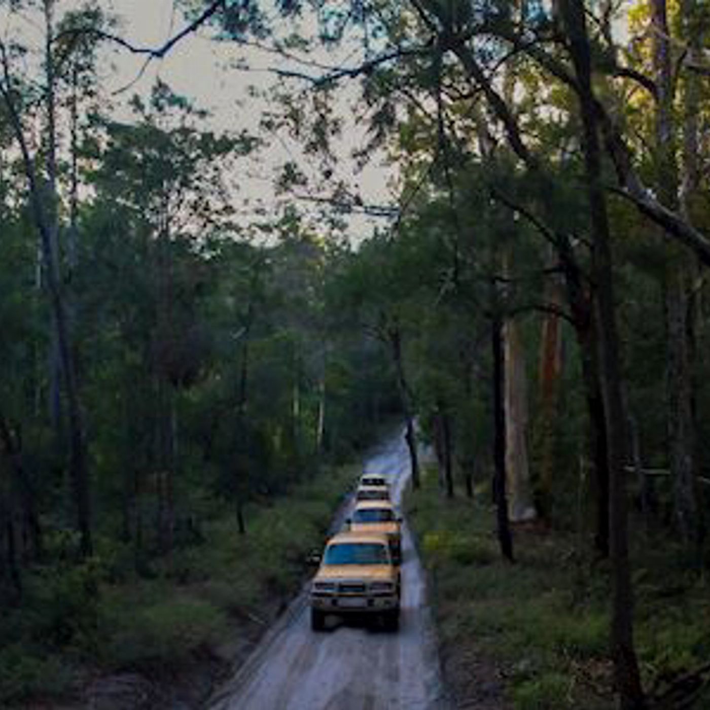 K'gari Tours K'gari Safari Tour (Fraser Island) 4WD & Camping Tag Along Tour (Noosa or Rainbow start)