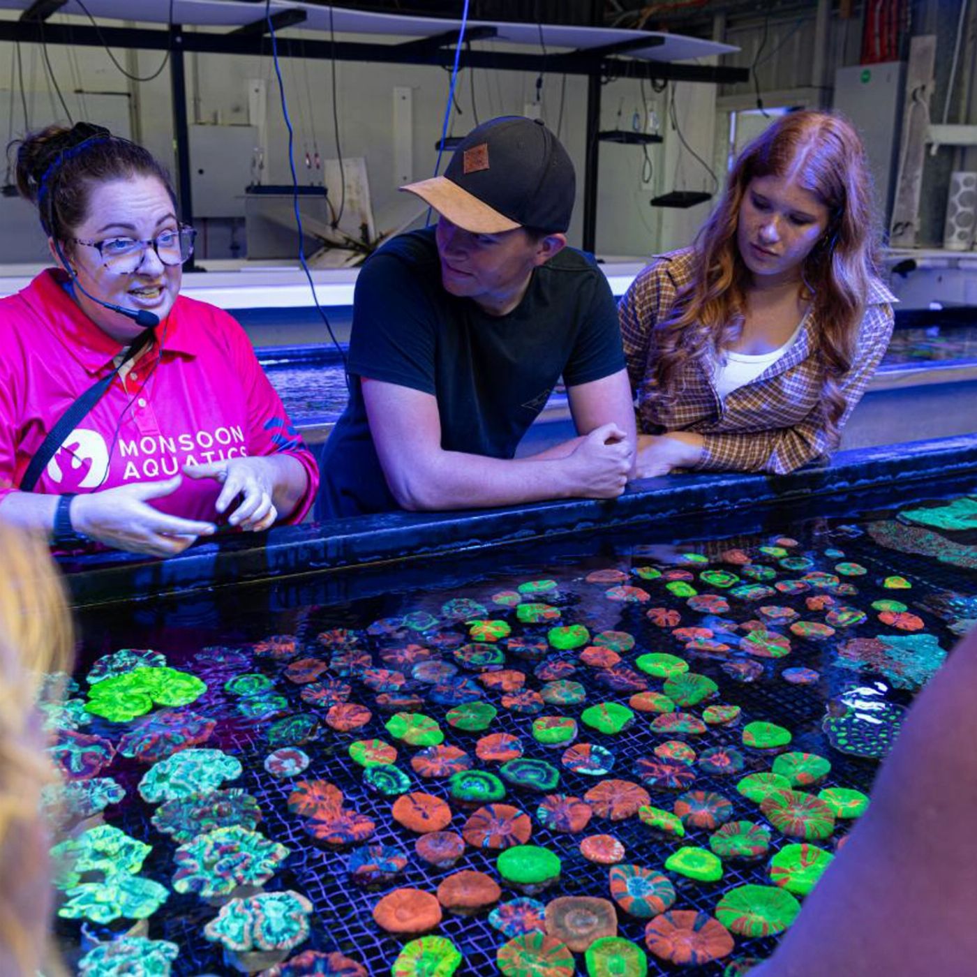 Monsoon Aquatics Coral Farm Tour