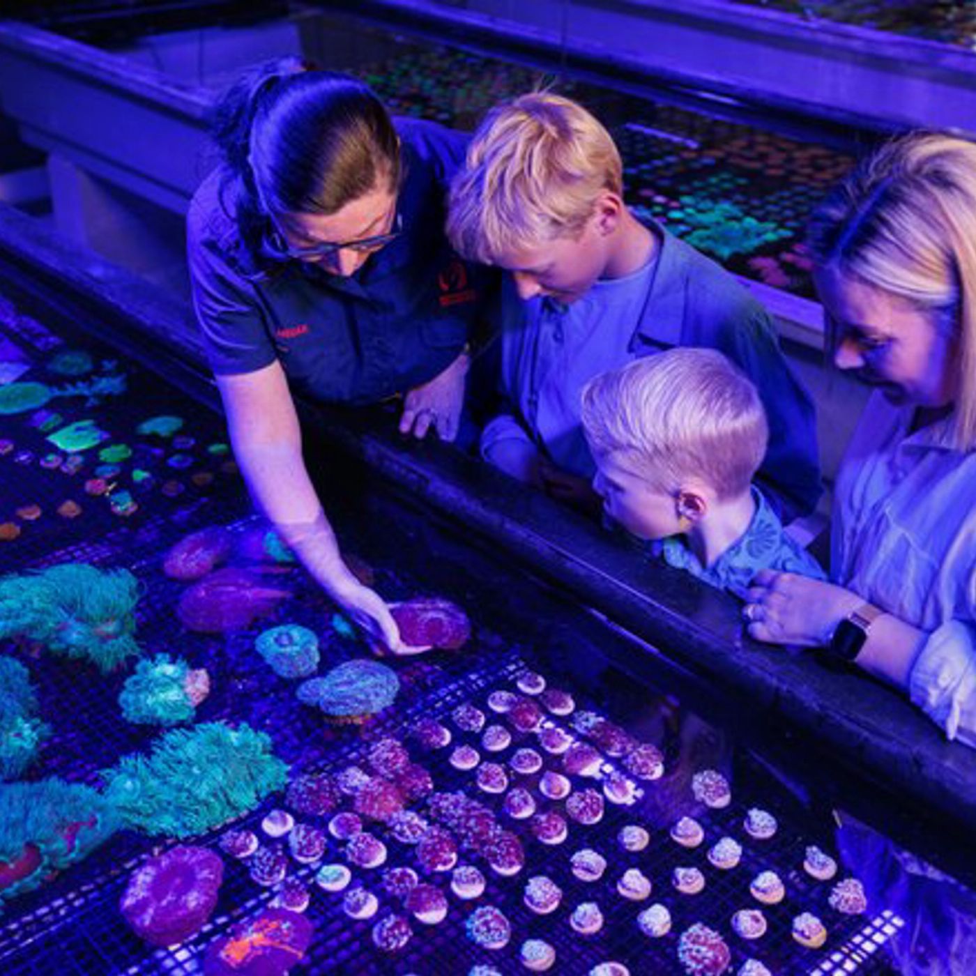 Monsoon Aquatics Coral Farm Tour