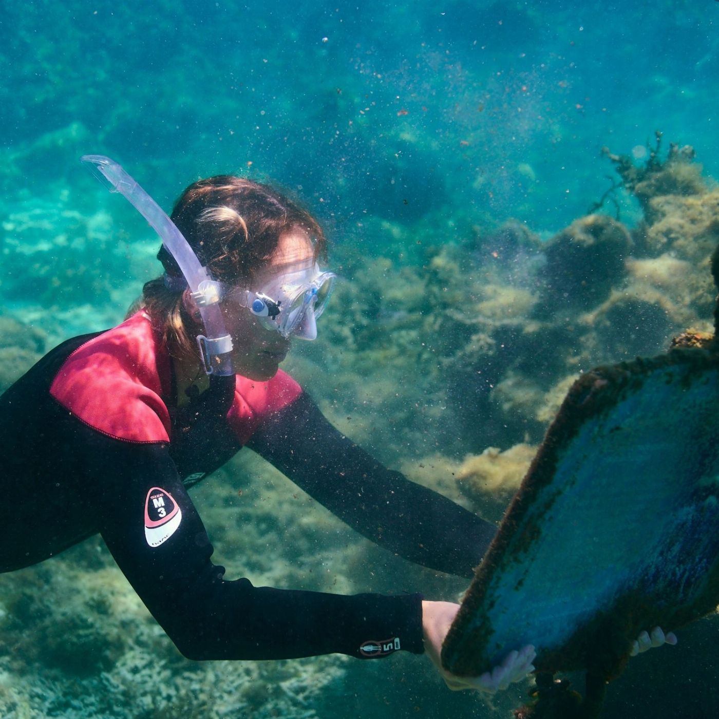 Rottnest Snorkel Experience Tour - 9am Departure