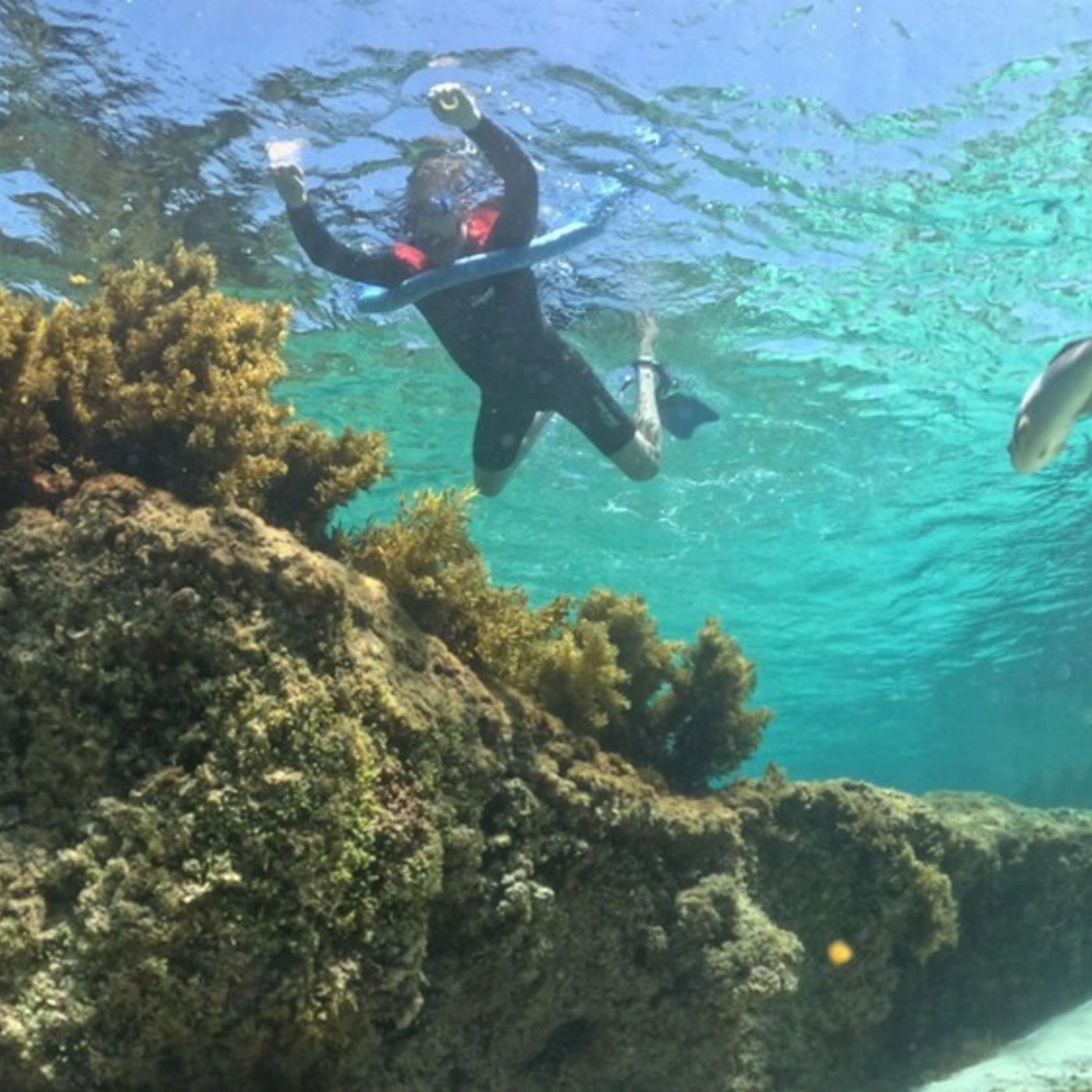 Rottnest Snorkel Experience Tour - 9am Departure