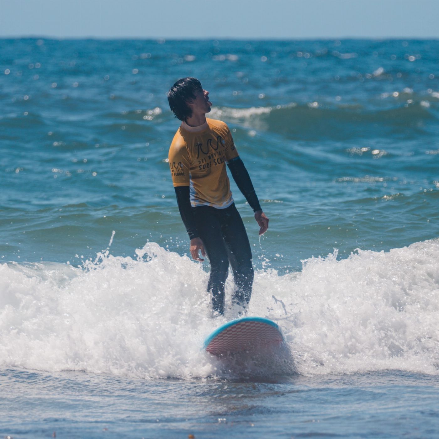 Salty Safaris Sydney Surf & Harbour Safari