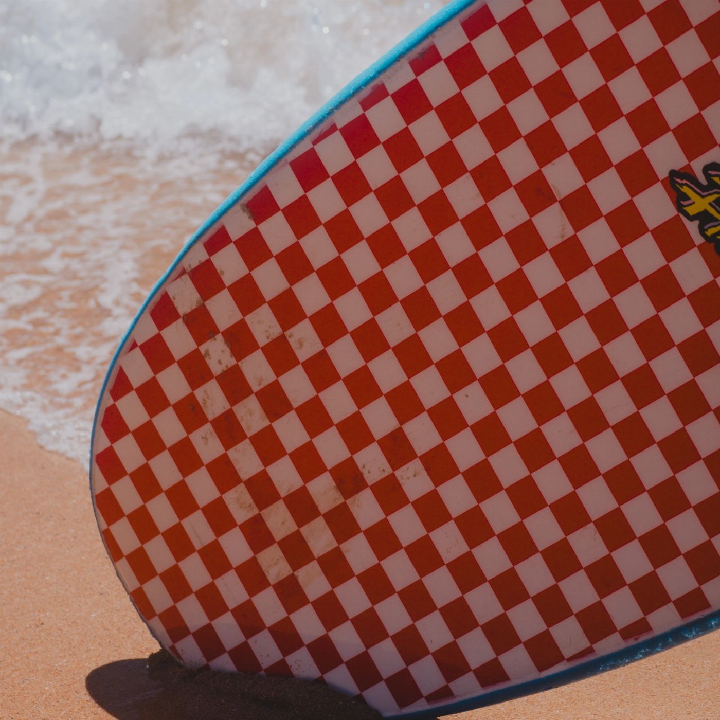 Salty Safaris Sydney Surf & Harbour Safari