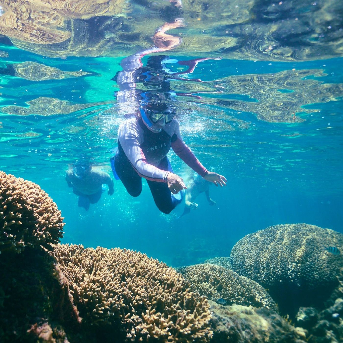 Rottnest Snorkel Private Charter Hire - Full Day