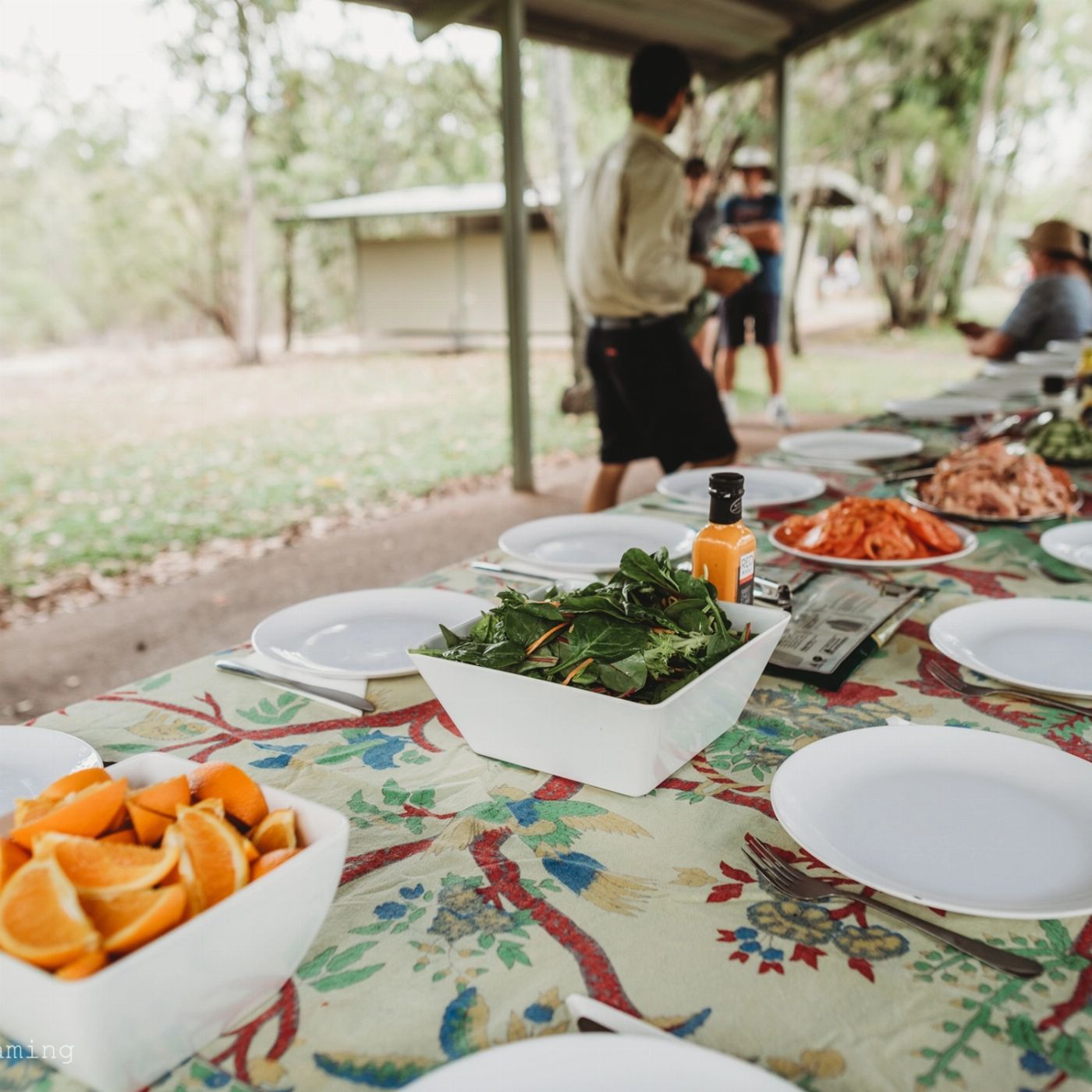 Offroad Dreaming Kakadu Day Tour (March - April)