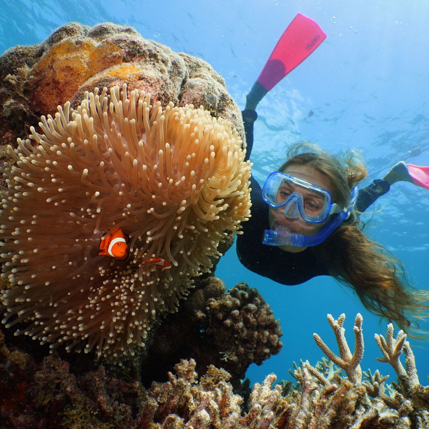 Quicksilver Cruises Quicksilver Agincourt Reef Pontoon Tour (+ Introductory Snorkel Tour with Marine Biologist)
