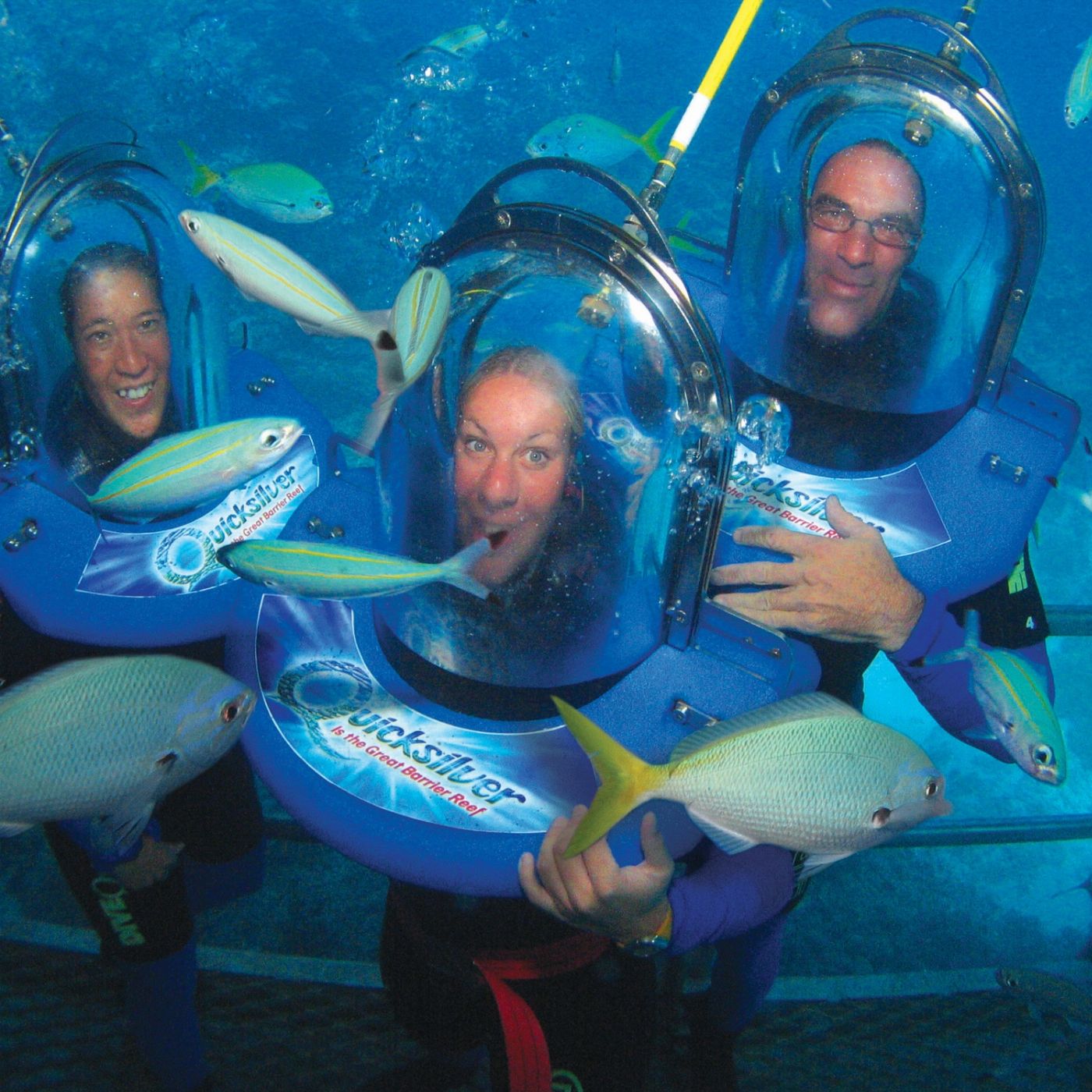 Quicksilver Cruises Quicksilver Agincourt Reef Pontoon Tour (+ 1 Helmet Diving)