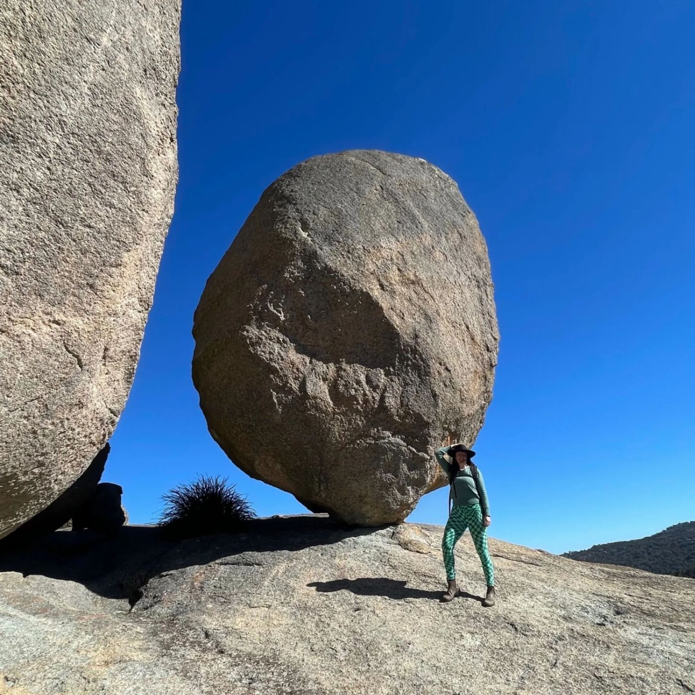 Bower Camp Co The Girraween Walking Tour - Single