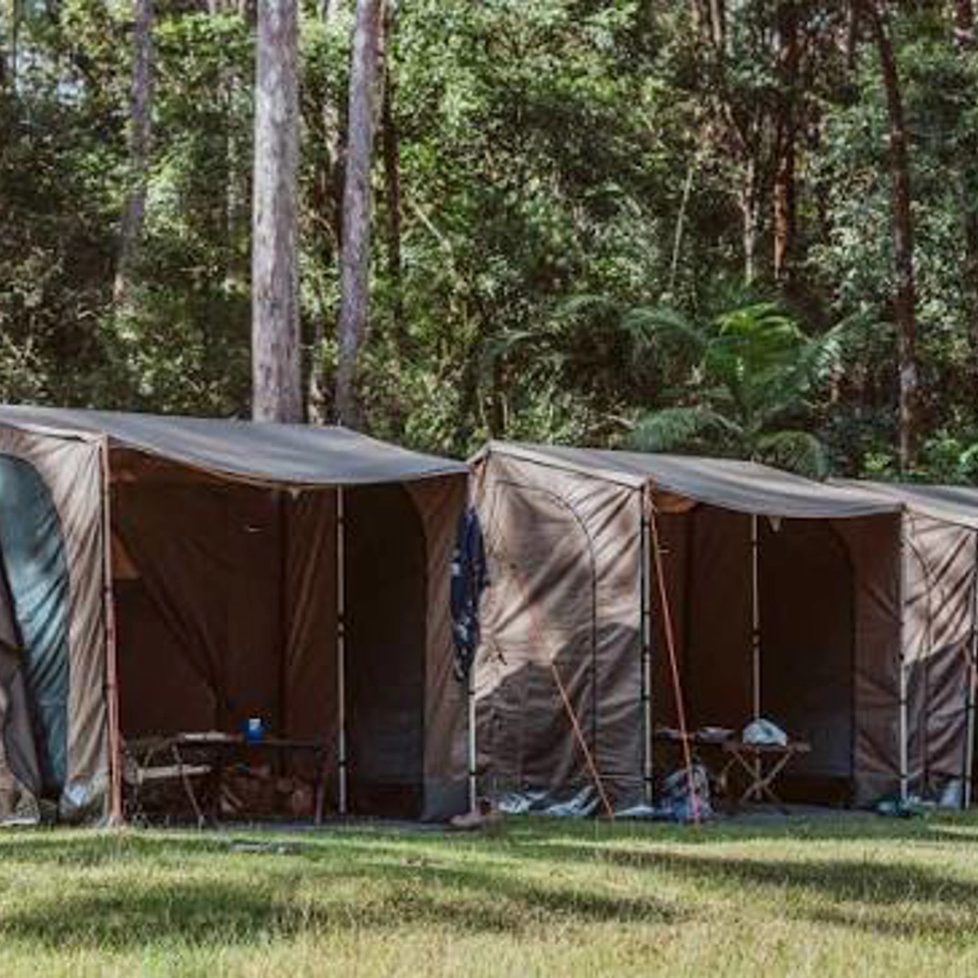 Bower Camp Co The Gondwana Walking Tour - Twin Share