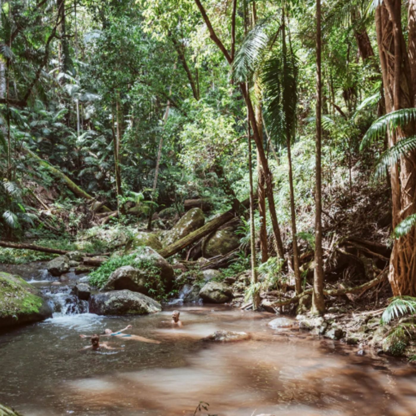 Bower Camp Co The Gondwana Walking Tour - Twin Share