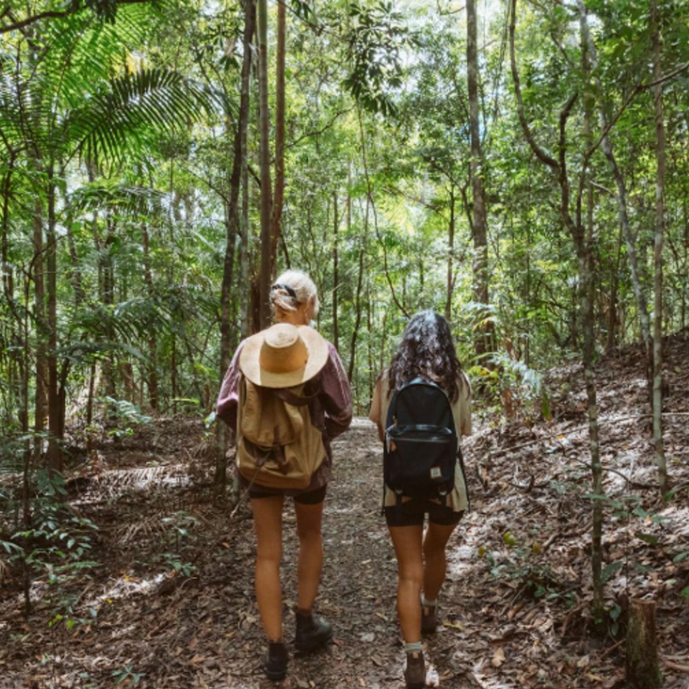 Bower Camp Co Girraween to Gondwana Walking Tour - Single