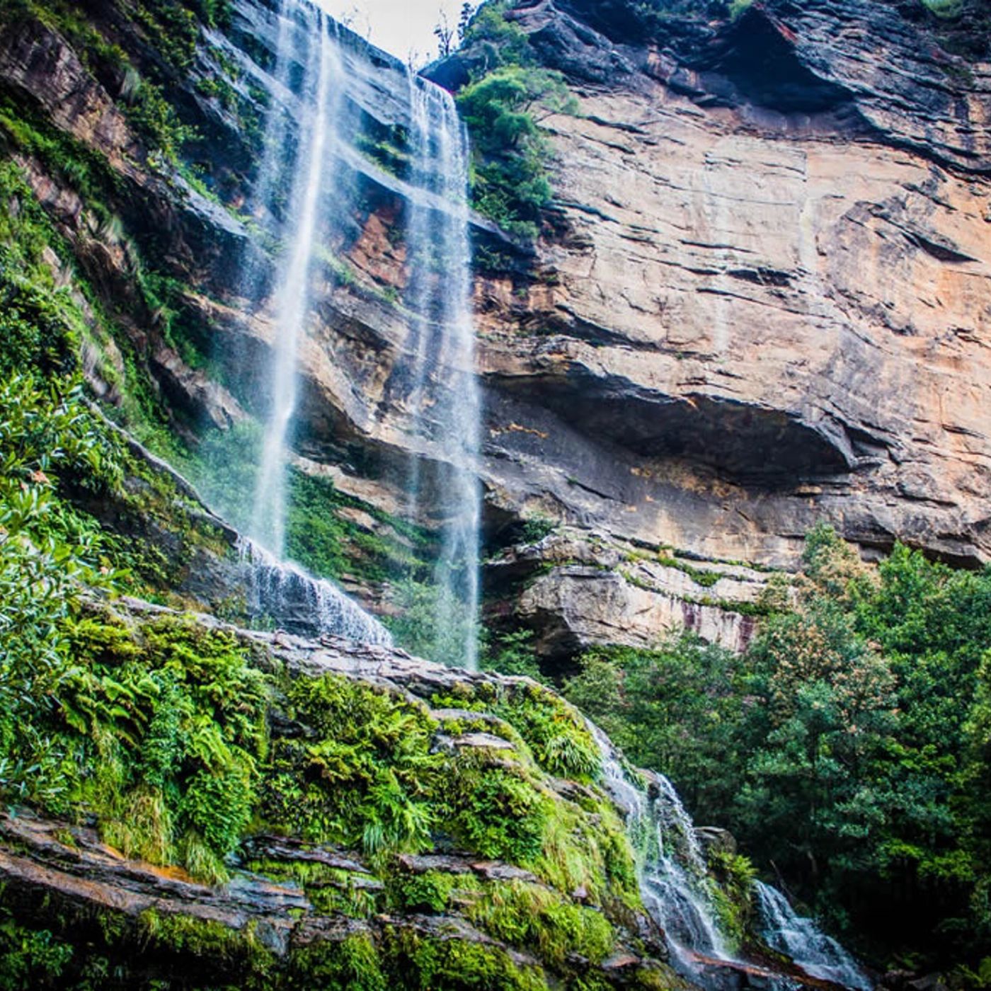 Blue Mountains Explorer Bus Explorer Pass - Hop On Hop Off | 2 Day Pass