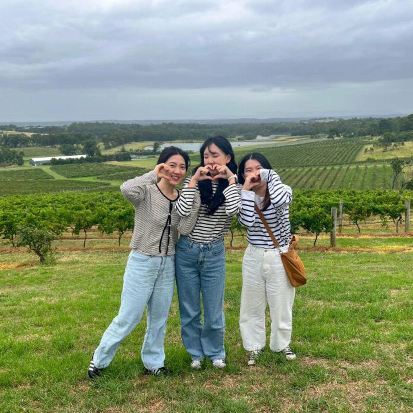 Newy Tour Co Private Hunter Valley Wine Tour with Hunter Valley Pickup