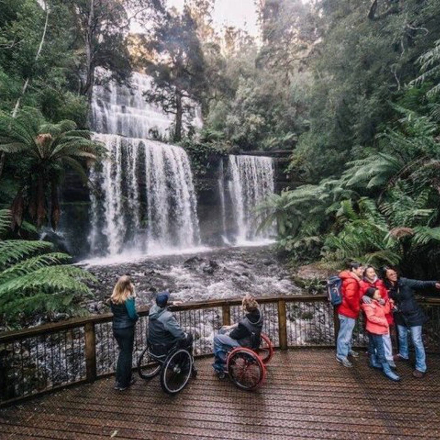 Safe Travel and Tour Services A Day Tour to Mt Field and Bonorong Wildlife Sanctuary