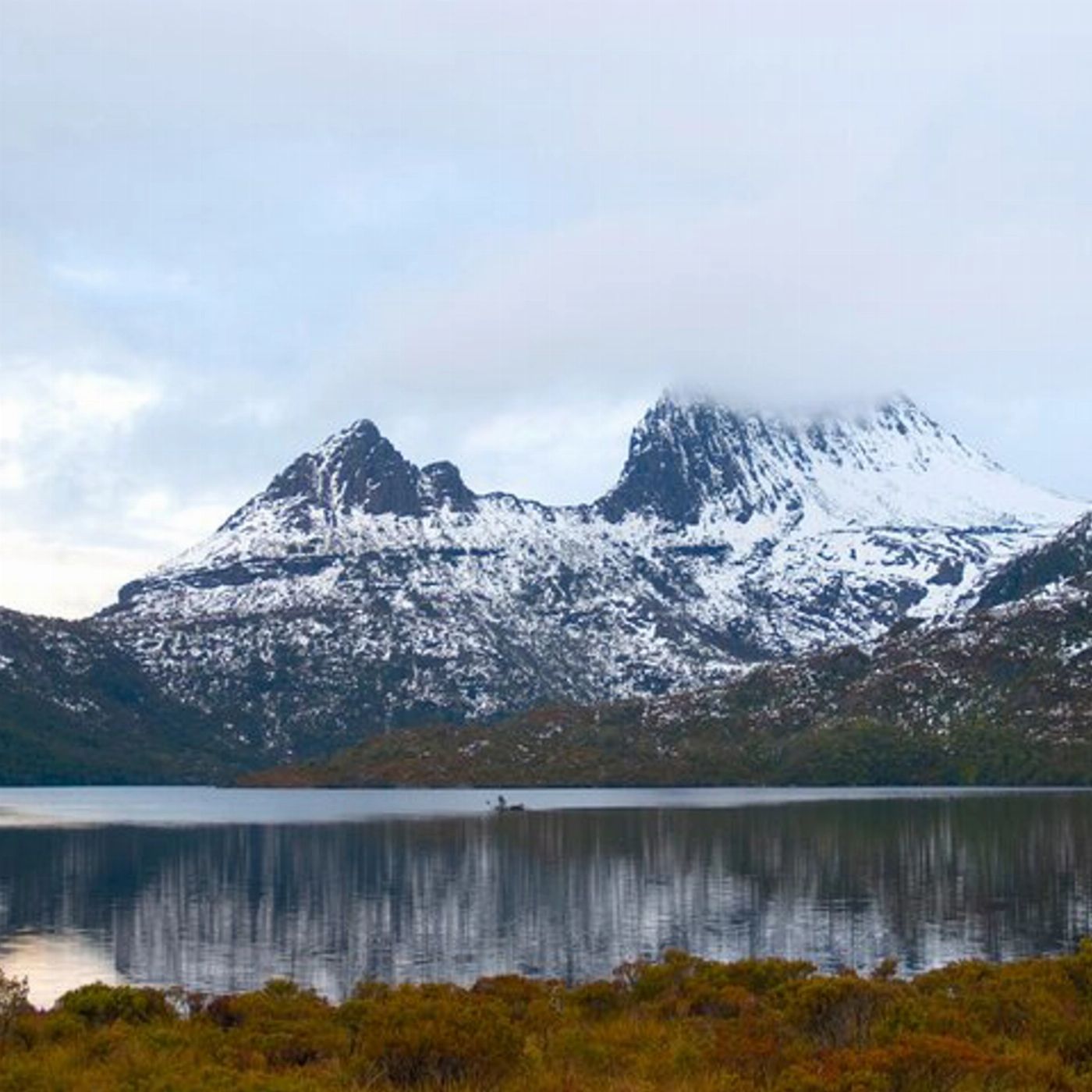 Safe Travel and Tour Services Cradle Mountain Day Tour from Launceston