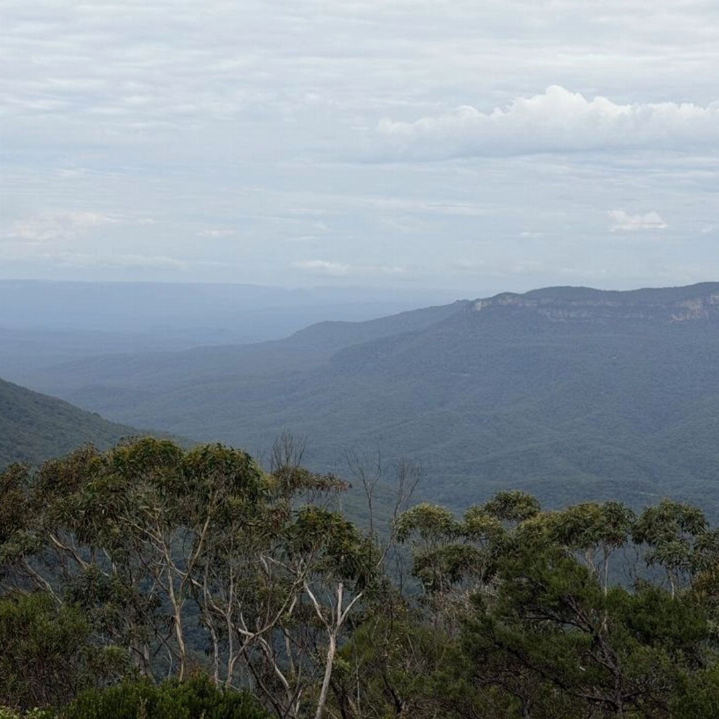 Salty Safaris Blue Mountains Day Trip