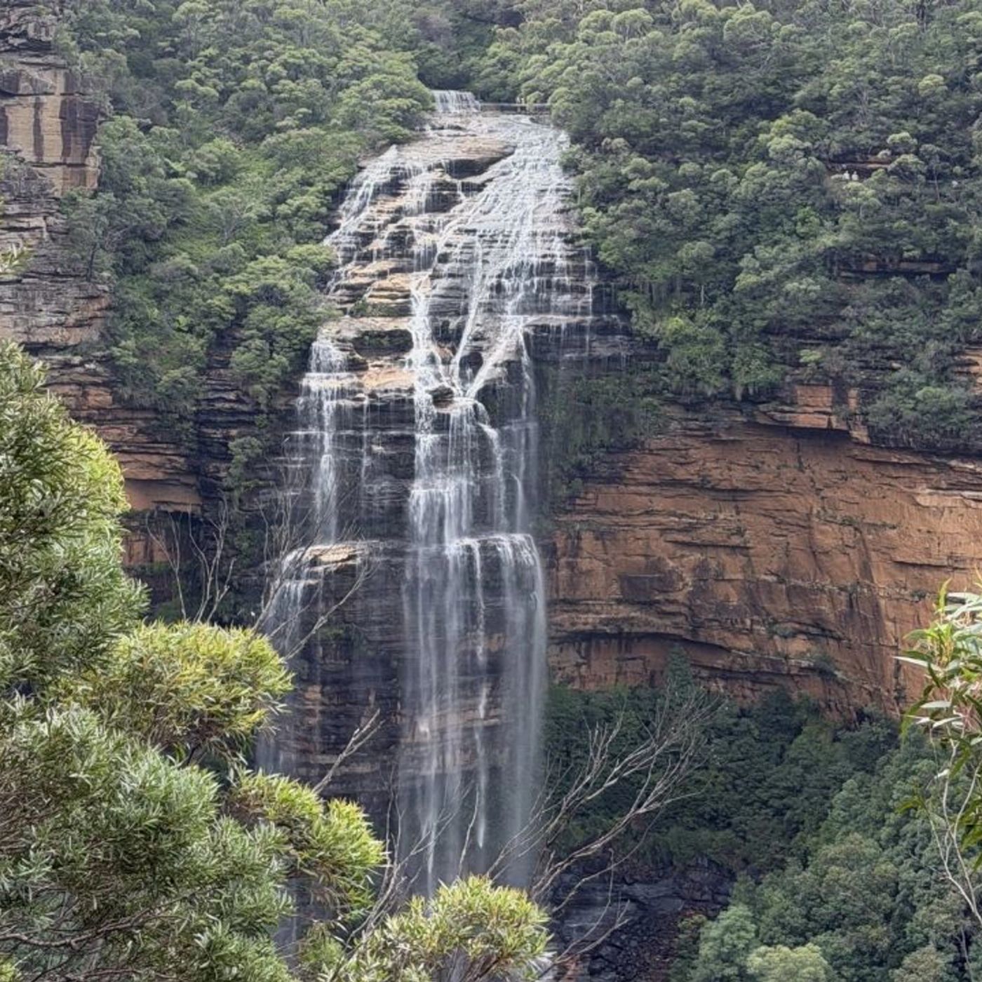 Salty Safaris Blue Mountains Day Trip
