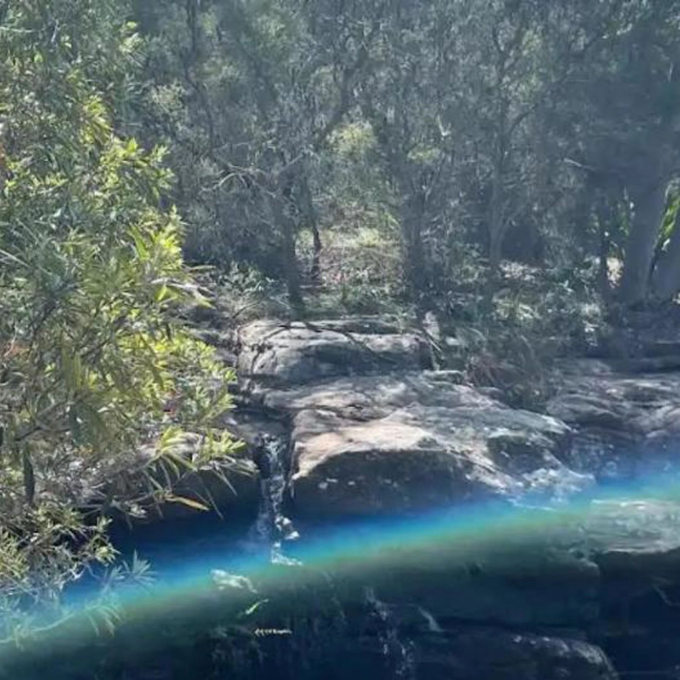 Salty Safaris Sydney: Hidden Beaches and Waterfalls Day Trip
