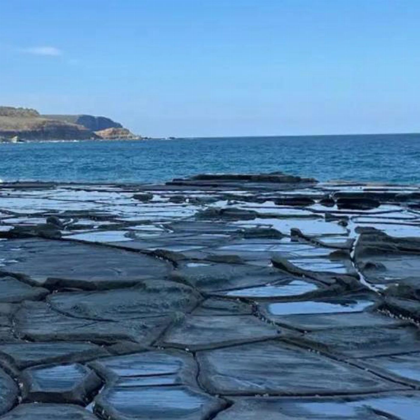 Salty Safaris Sydney: Hidden Beaches and Waterfalls Day Trip