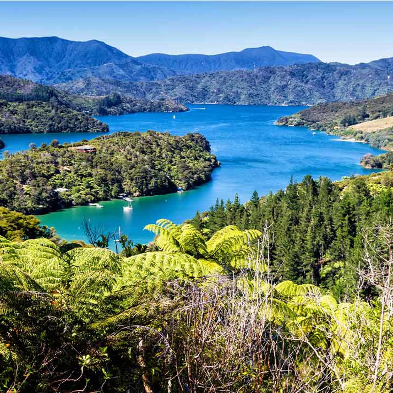 5 Day Queen Charlotte Track Walk