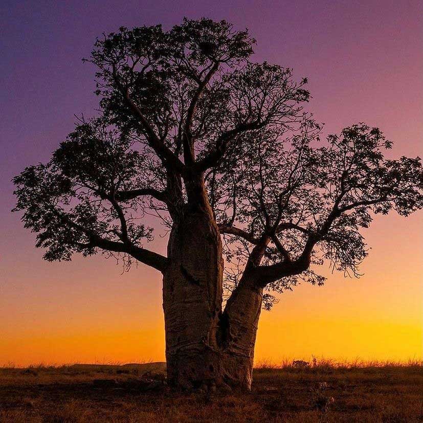 6 Day Uluru to Adelaide