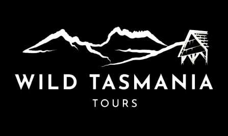 Wild Tasmania Tours