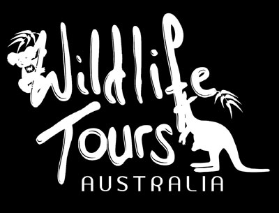 Wildlife Tours Australia