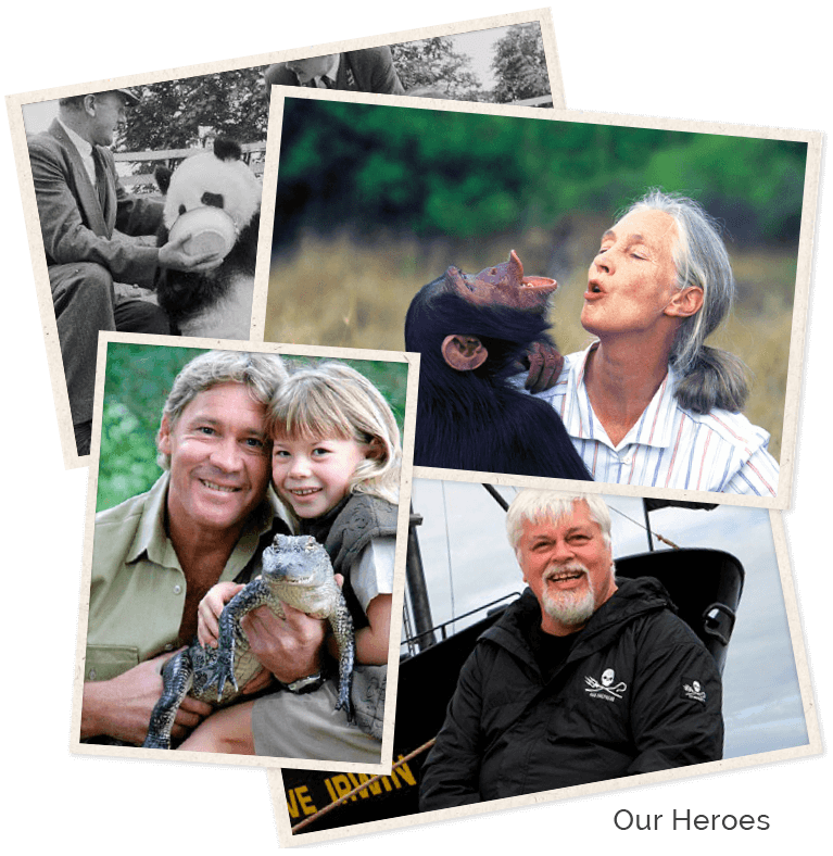 Our heroes